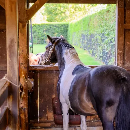 Fachwerkhaus - Sueden Unten - Bauernhof Hopp Vadersdorf