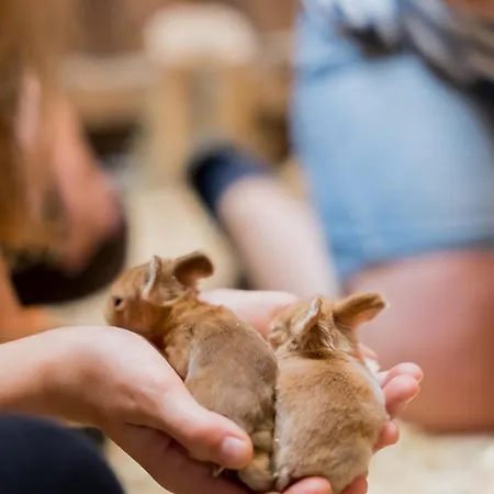 Fachwerkhaus - Sueden Unten - Bauernhof Hopp Vadersdorf Fehmarn