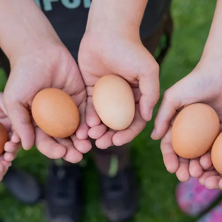 Fachwerkhaus - Sueden Unten - Bauernhof Hopp Vadersdorf アパート