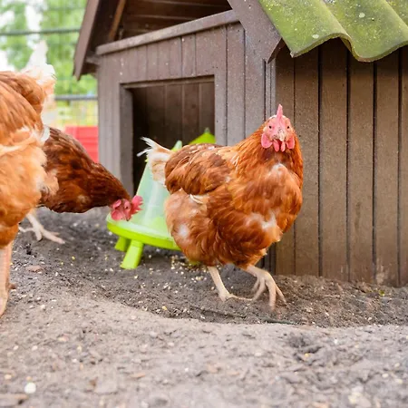 アパート Fachwerkhaus - Sueden Unten - Bauernhof Hopp Vadersdorf *