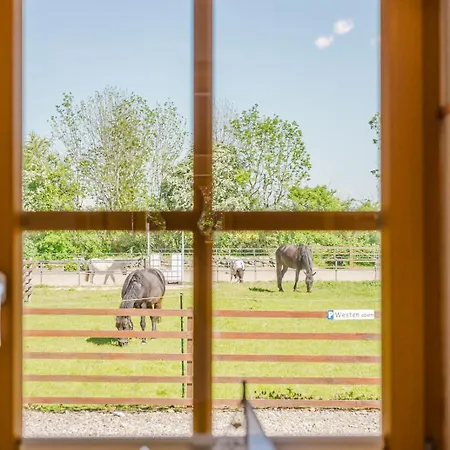 Fachwerkhaus - Sueden Unten - Bauernhof Hopp Vadersdorf アパート