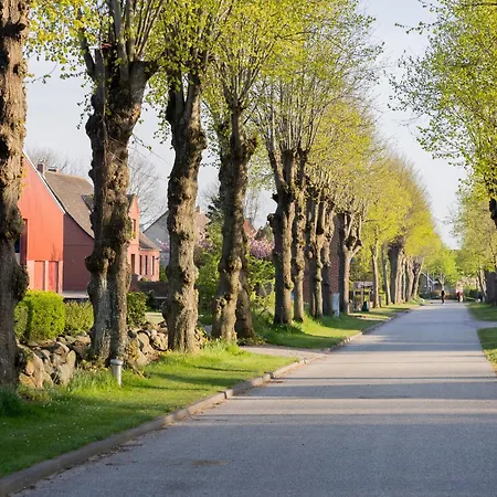 Fachwerkhaus - Sueden Unten - Bauernhof Hopp Vadersdorf Fehmarn